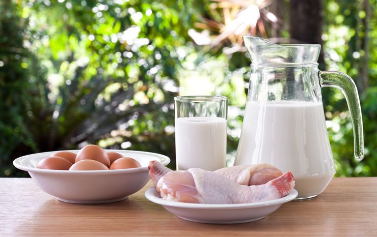 High-protein foods like eggs, chicken, and milk on a wooden table