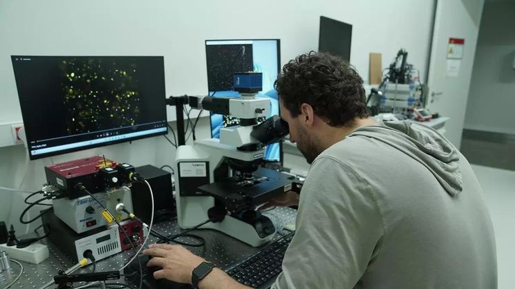 Laboratory research work with cell cultures representing preclinical gout drug testing