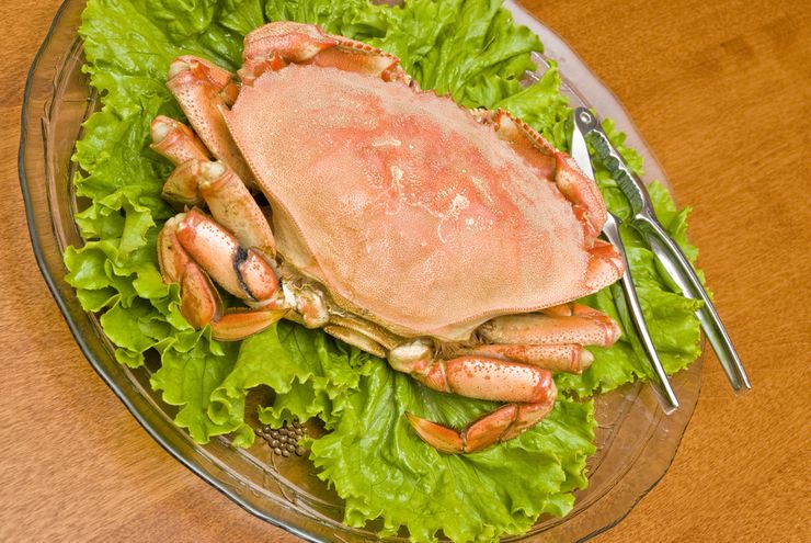 A cooked snow crab cluster on a plate with a seafood cracker